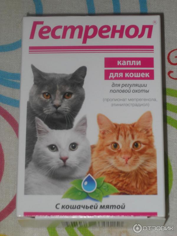 Гестренол Для Кошек Капли Цена