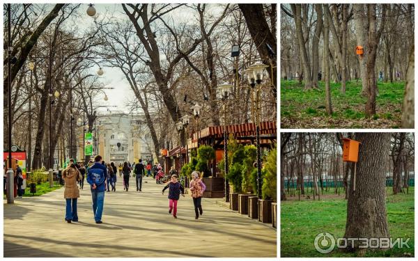 Чистяковская роща в краснодаре фото Отзыв о Чистяковская роща (Россия, Краснодар) Один из старейших парков Краснодар