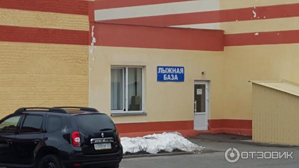 Лесная сказка