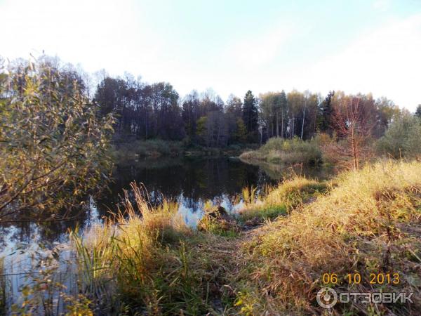 Усадьба Чернышевых (Россия, Ярополец) фото