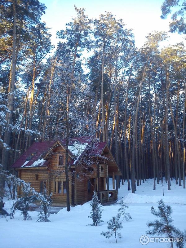 Санаторий красиво белгородская область официальный фото сегодня