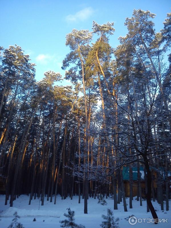 Красиво Санаторий Белгородская Область Цена