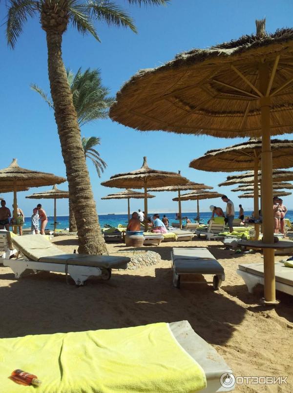 Отель Hurghada SeaGull Beach Resort 4* (Египет, Хургада) фото