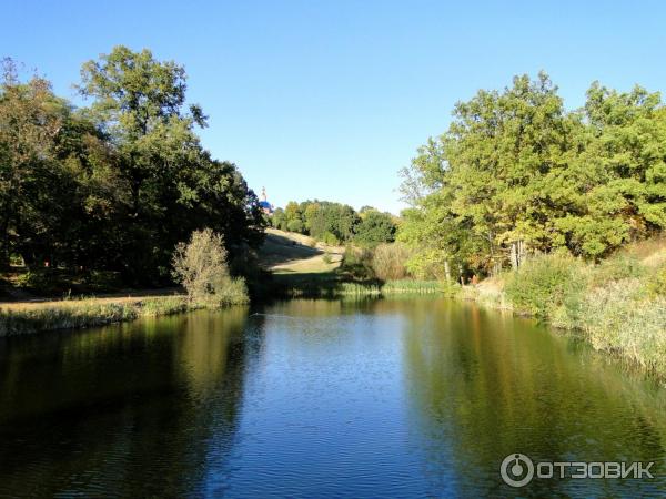 Дуб Богдана Хмельницкого в пос. Дубовое (Россия, Белгород) фото