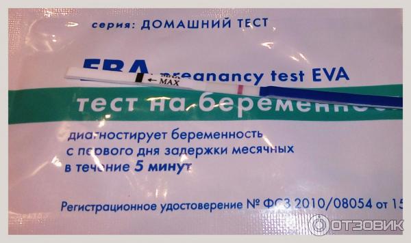 Тест ева на беременность положительный фото