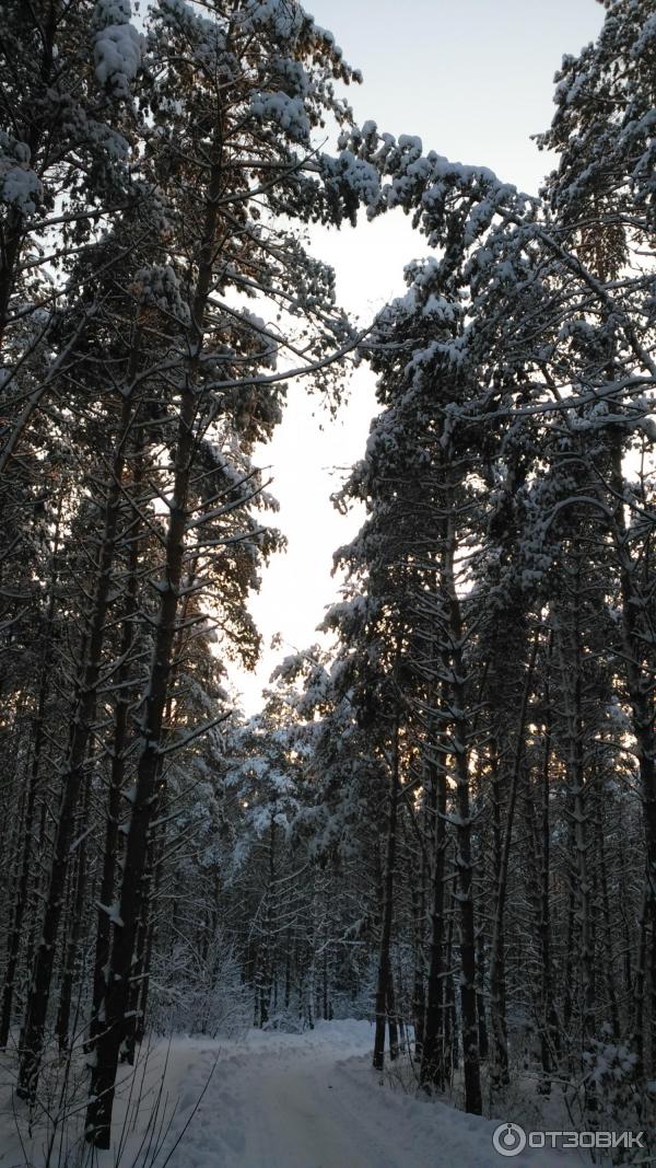 Отель Жемчужина (Россия. п. Введенка) фото