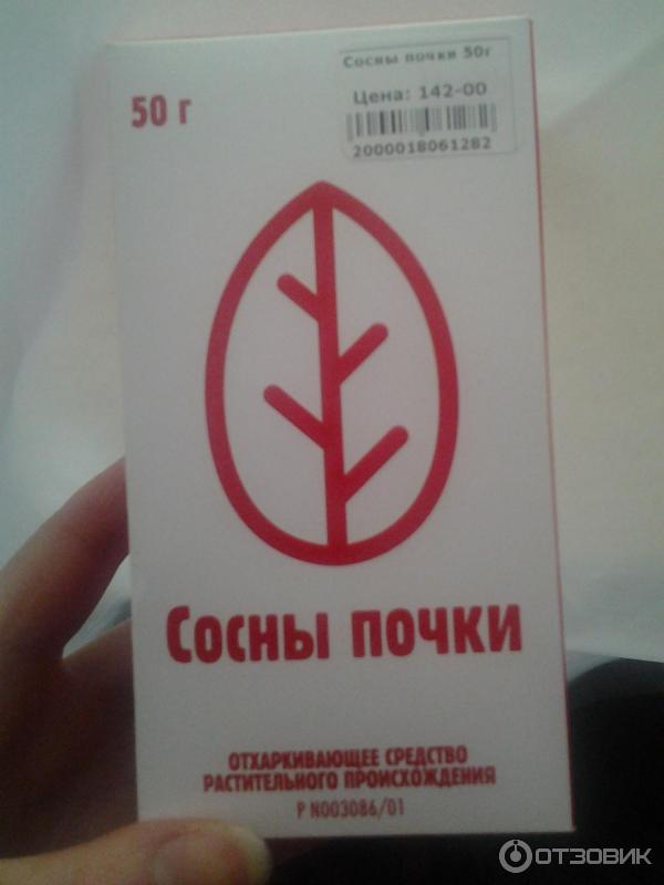 Купить Почку Сосны Оптом