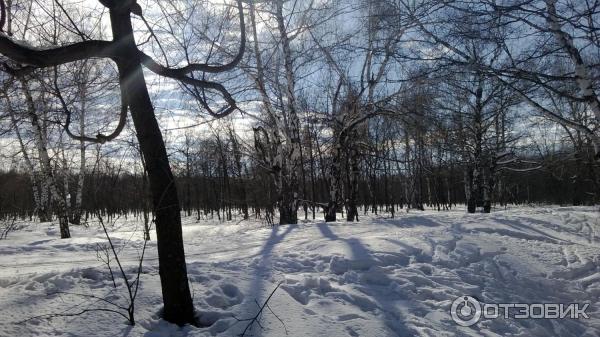 Зимний пейзаж