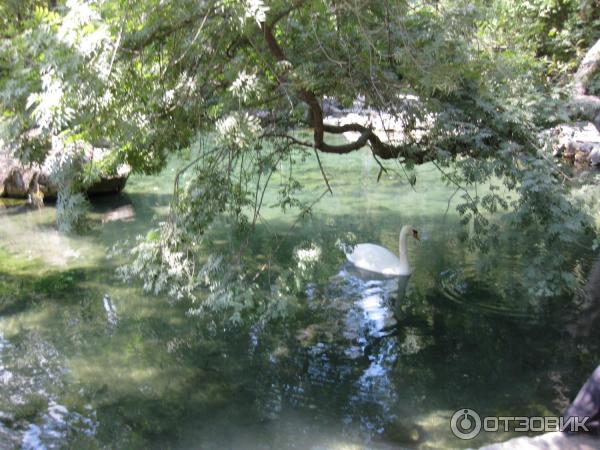 Дом творчества Актер в Мисхоре (Россия, Крым) фото