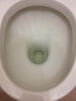 Чистящее средство Domestos "Эксперт сила" фото