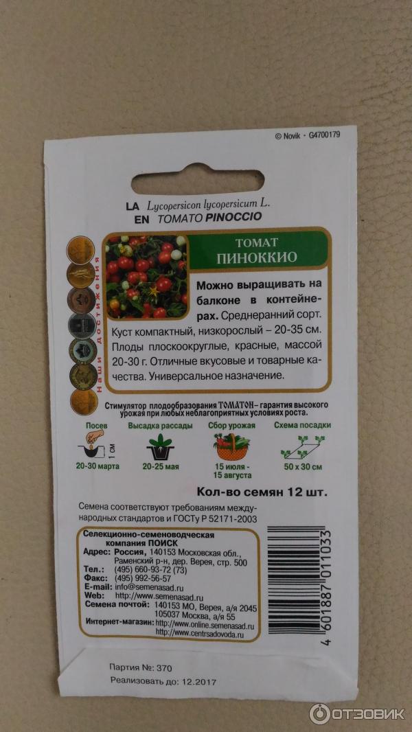 Томат Пиноккио Характеристика Фото