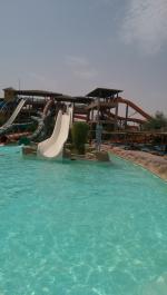 Отель Jungle Aqua Park 4* (Египет, Хургада) фото