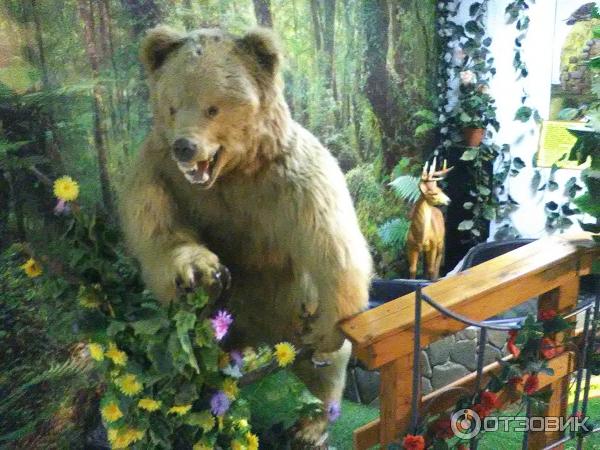 Трогательный Зоопарк Ростов На Дону Цена