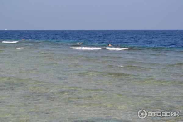 Экскурсия на яхте по Красному морю (Египет, Хургада) фото