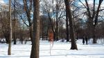 Ботанический сад МГУ (Аптекарский огород) (Россия, Москва) фото