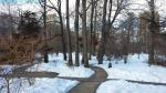 Ботанический сад МГУ (Аптекарский огород) (Россия, Москва) фото