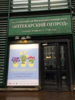 Выставка "Репетиция весны" в Ботаническом саду МГУ "Аптекарский огород" (Россия, Москва) фото