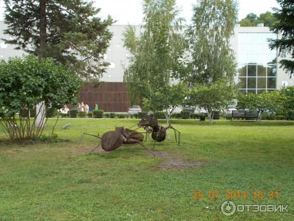 Экскурсия на винный завод Абрау-Дюрсо (Россия, Новороссийск) фото