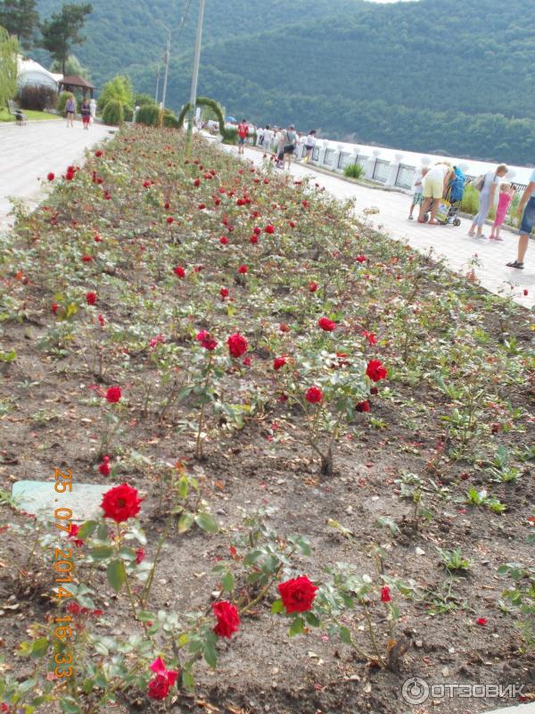 Экскурсия на винный завод Абрау-Дюрсо (Россия, Новороссийск) фото