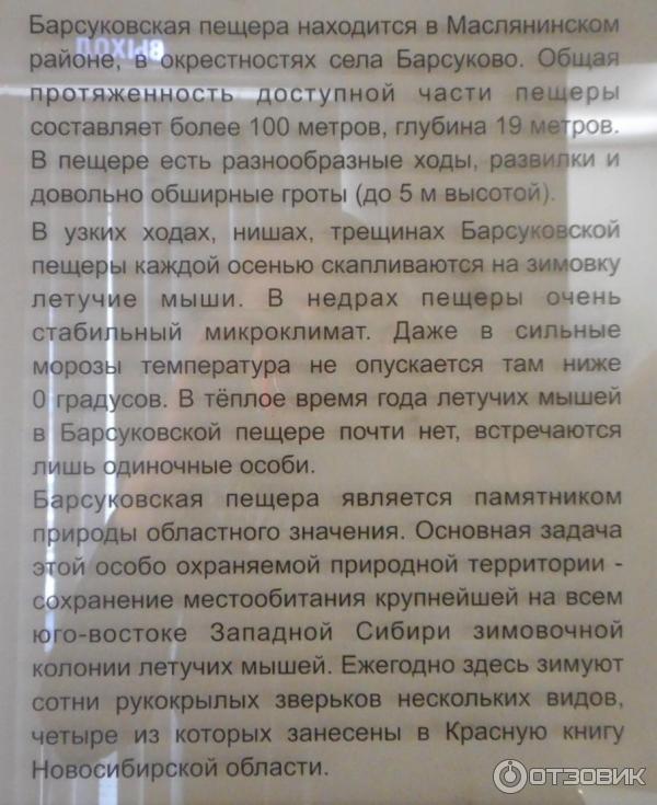 Новосибирский государственный краеведческий музей (Россия, Новосибирск) фото