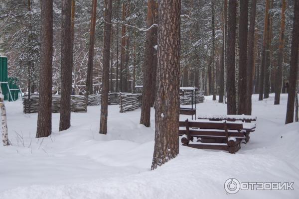 База отдыха Солнечный остров (Россия, Екатеринбург) фото