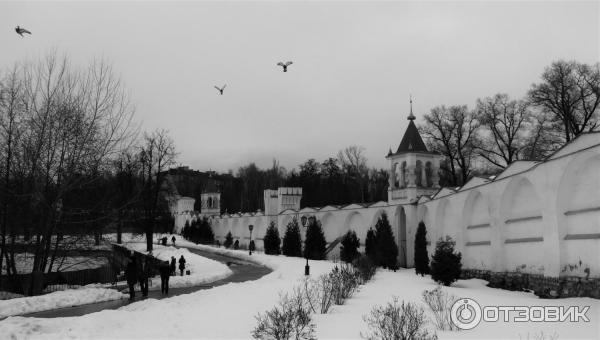 Стена монастыря и голуби