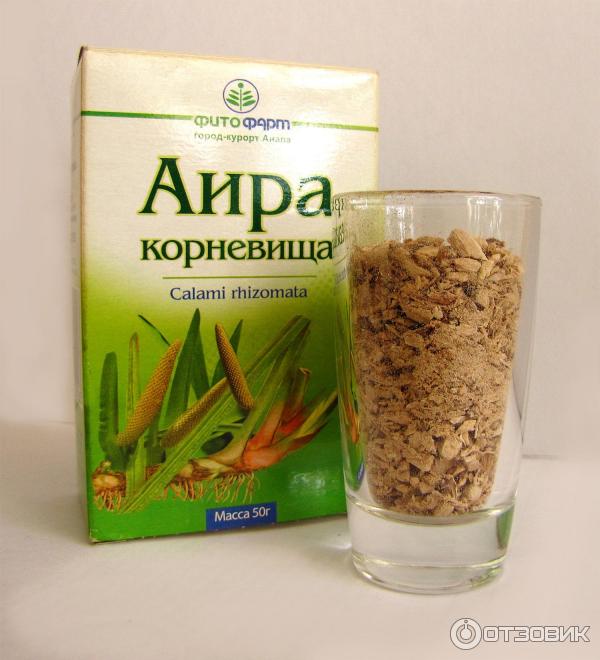 Корневища аира.