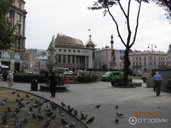 Проспект Свободы (Украина, Львов) фото