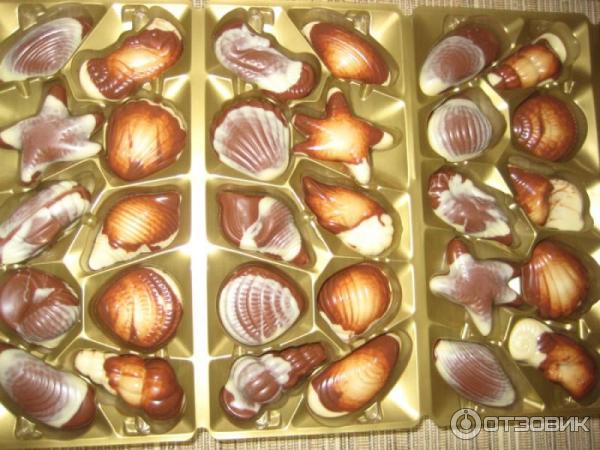 Конфеты Belgian ракушки Chocolates морские