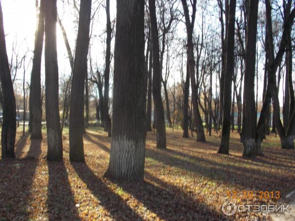 Церковь Знамения Пресвятой Богородицы в Дубровицах (Россия, Подольск) фото