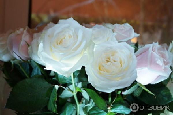 фоткала в темноте во световой кистью, даже не думала, тчо так можно снимать!