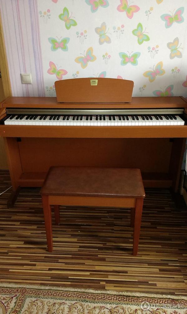 Цифровое пианино Yamaha Clavinova CLP 220M фото