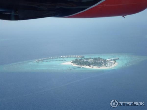 Авиакомпания Trans Maldivian Airways (гидросамолеты) фото