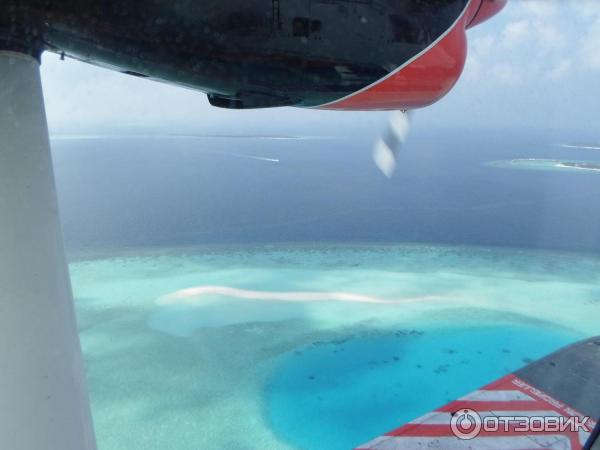 Авиакомпания Trans Maldivian Airways (гидросамолеты) фото