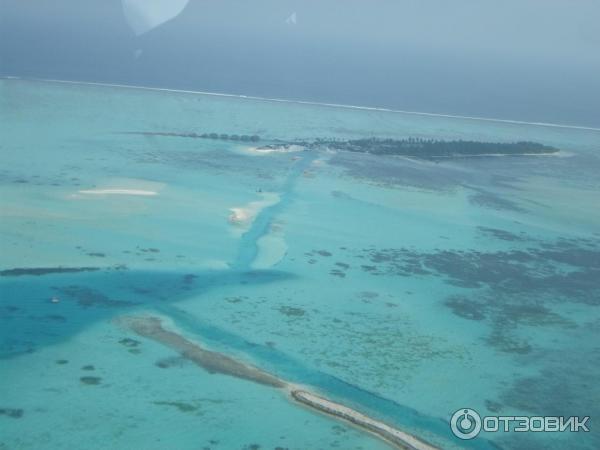 Авиакомпания Trans Maldivian Airways (гидросамолеты) фото