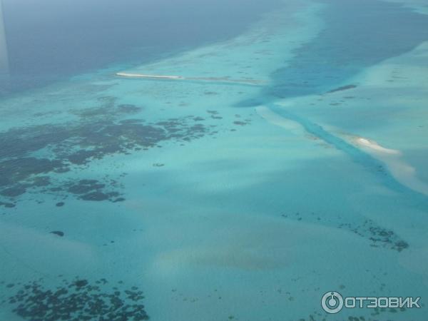 Авиакомпания Trans Maldivian Airways (гидросамолеты) фото