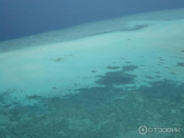 Авиакомпания Trans Maldivian Airways (гидросамолеты) фото