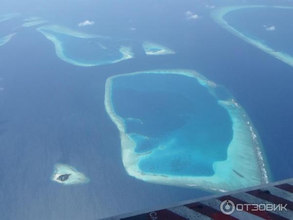 Авиакомпания Trans Maldivian Airways (гидросамолеты) фото