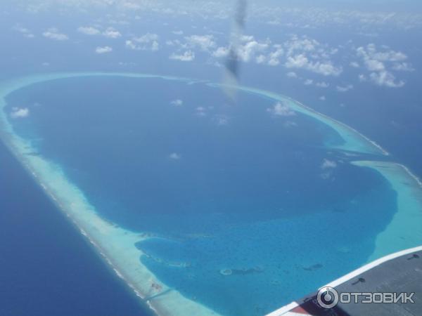 Авиакомпания Trans Maldivian Airways (гидросамолеты) фото