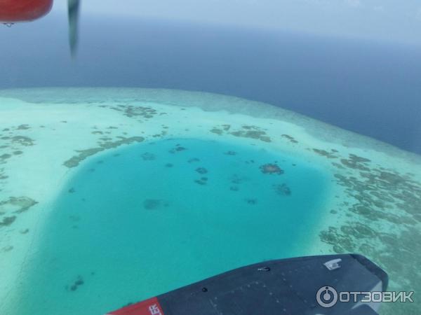 Авиакомпания Trans Maldivian Airways (гидросамолеты) фото