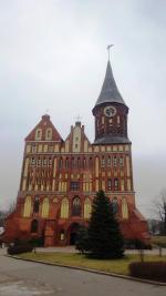 Отдых в Калининграде (Россия, Калининградская область) фото