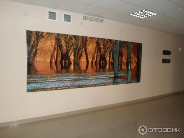 Лискинская больница