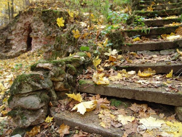 Оздоровительный комплекс Снегири (Россия, Московская область) фото