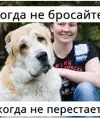 Ira62rus