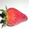 fragola