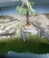 veveya