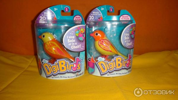 DigiBirds