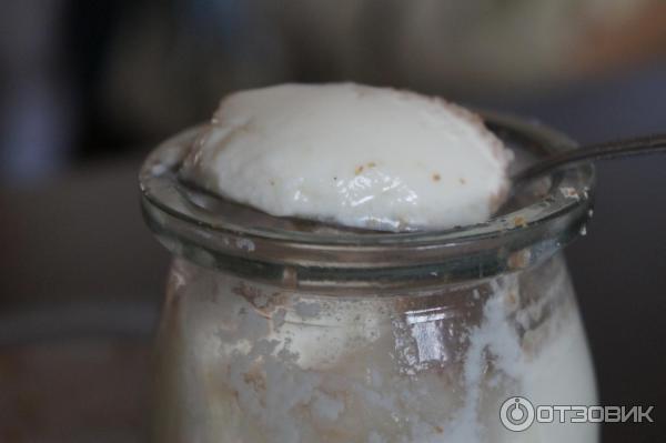 Почему в йогурте комочки. Йогурт в йогуртнице не получился. Консистенция домашнего йогурта. Почему йогурт жидкий. Йогурт сопливый.