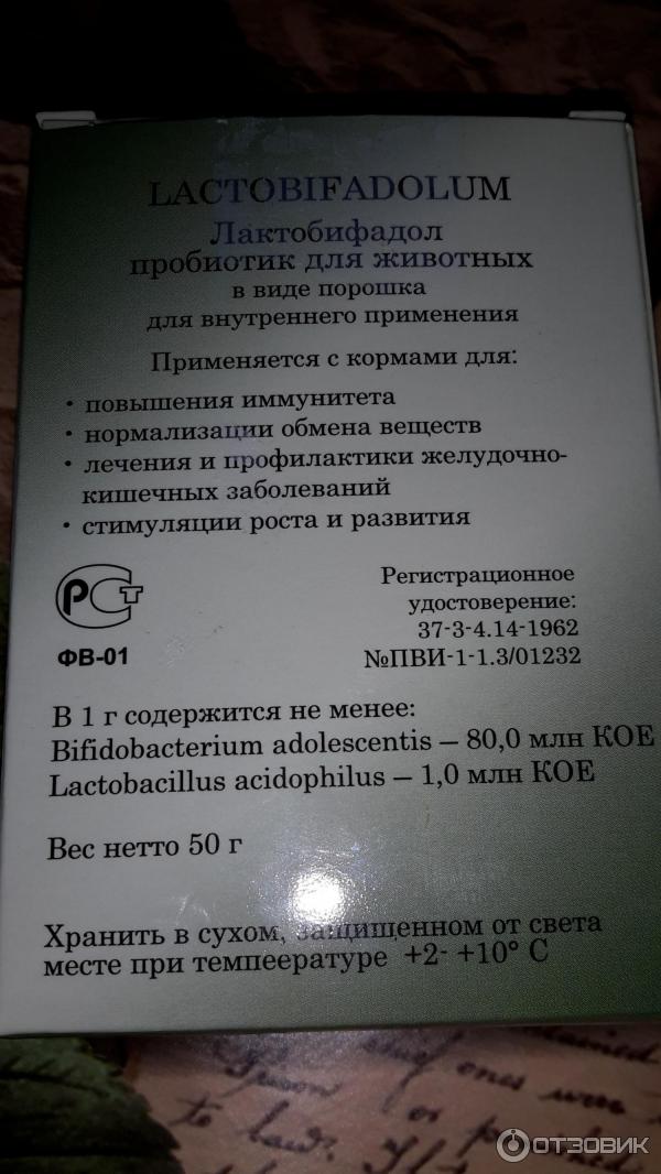 Лактобифадол для кошек инструкция