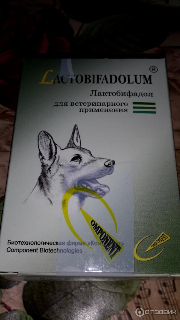 Лактобифадол для кошек инструкция
